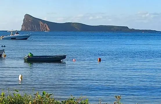 64524de25a694466797725.jpg