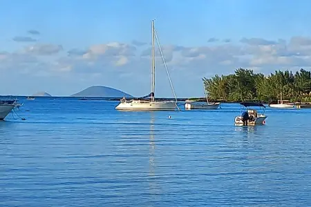 64524de2722a4970449747.jpg