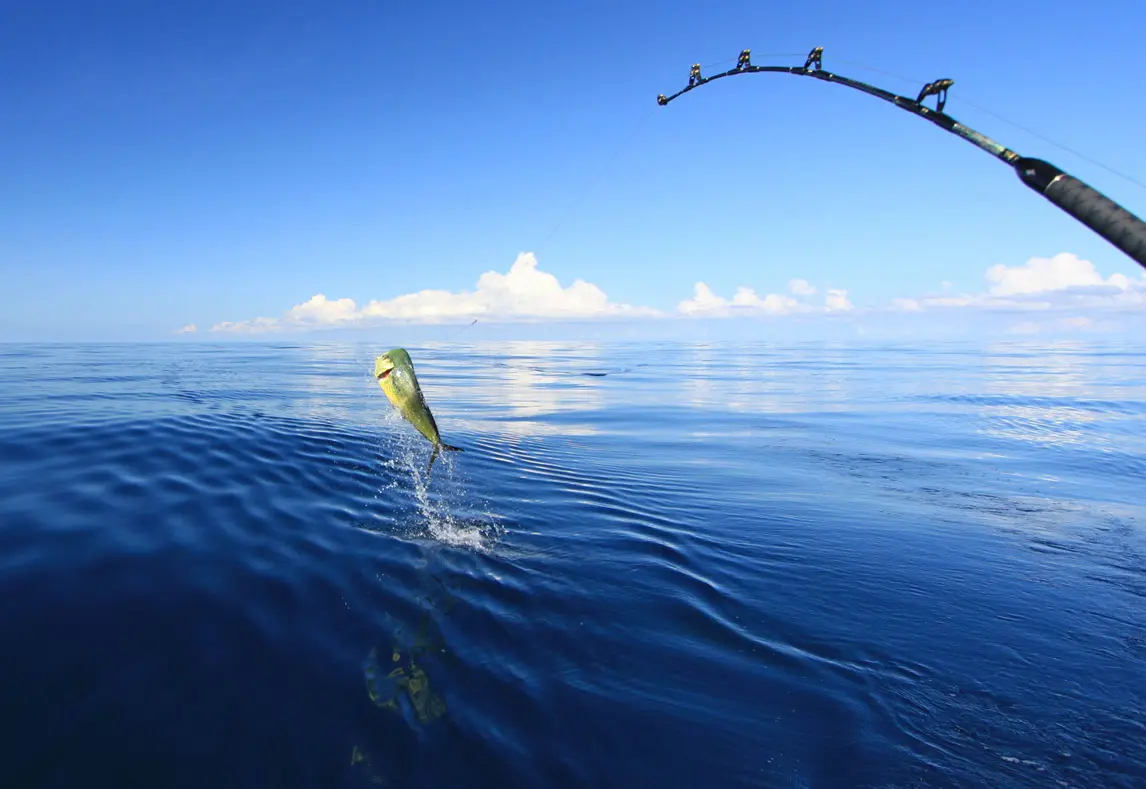 Explore deep sea fishing